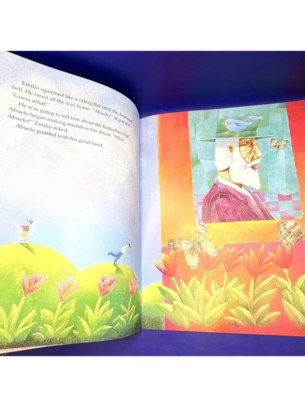 Butterfly Boy Virginia Kroll PB Scholastic Latino Multicultural Family Reading